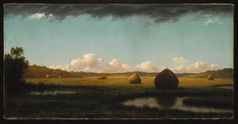 Kesän takakuvat - Martin Johnson Heade
