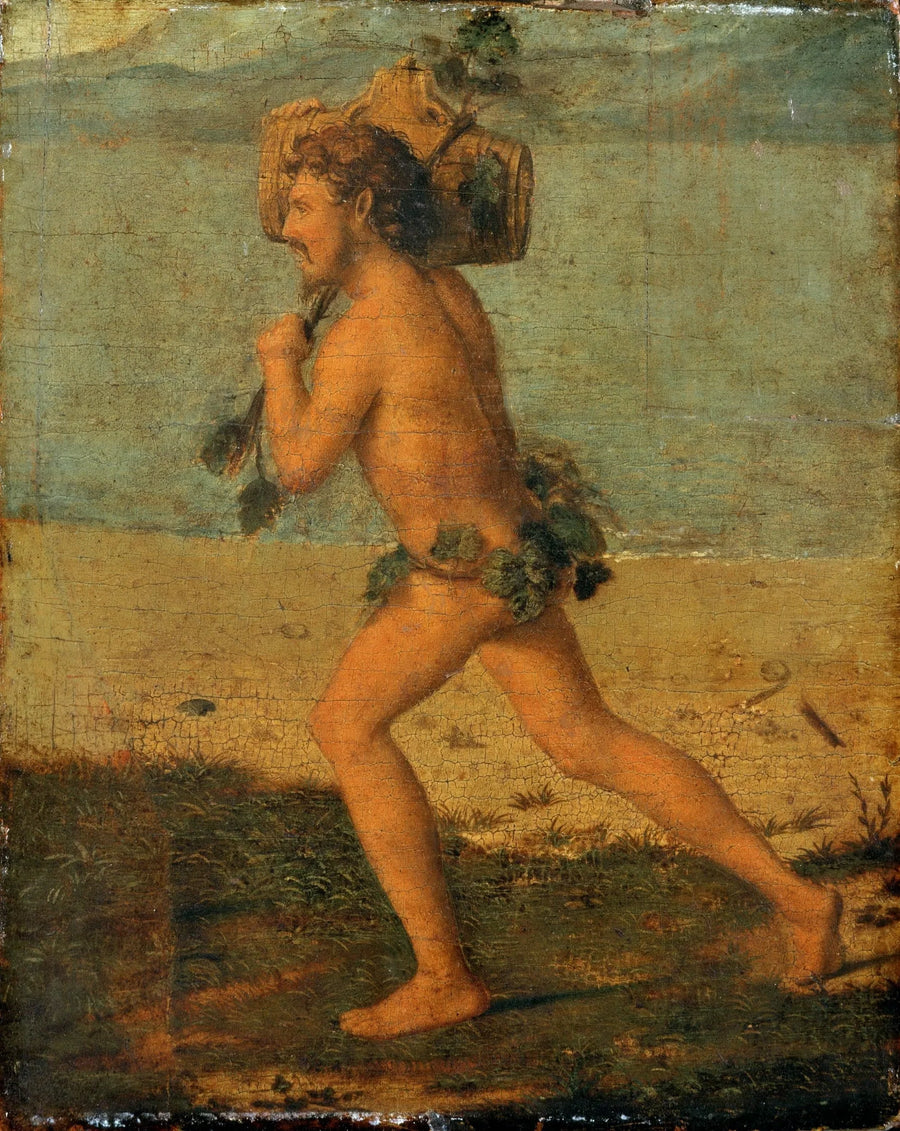 Bacchantti - Cima da Conegliano