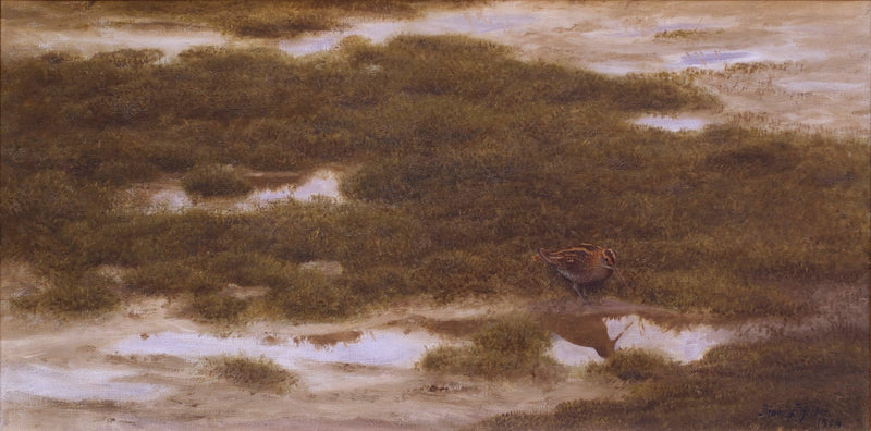Snipe - Bruno Liljefors