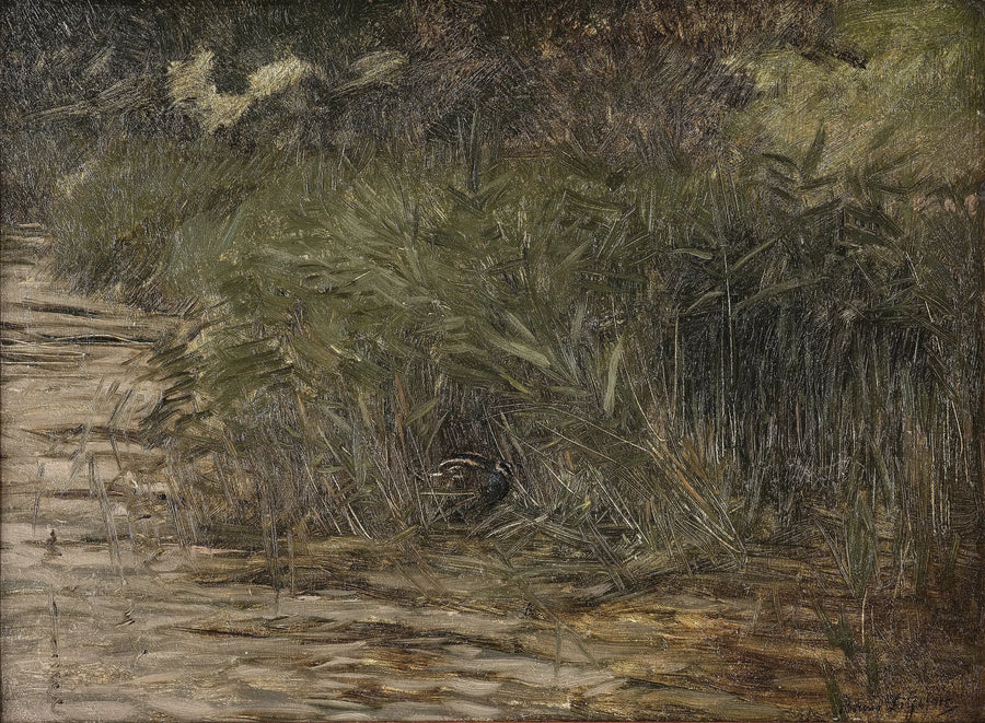Lehtokurppa ruovikossa - Bruno Liljefors