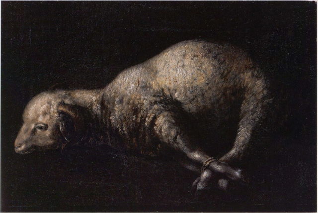 Oinas jalat sidottuina - Francisco de Zurbarán