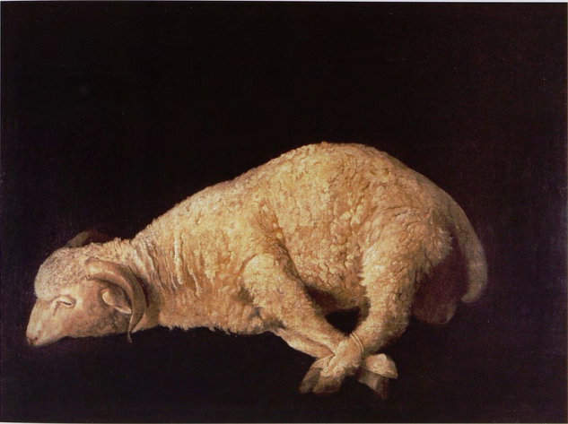 Oinas jalat sidottuina - Francisco de Zurbarán