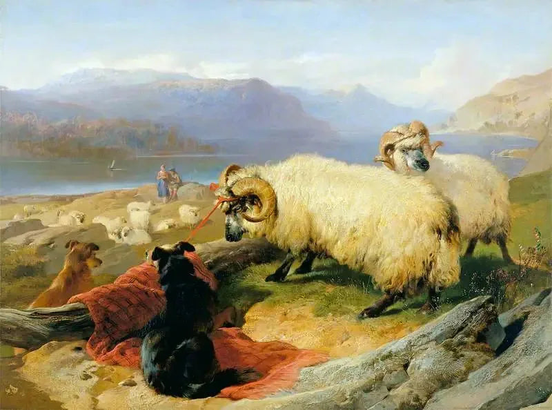 Kiinnitetyt pässit - Edwin Henry Landseer