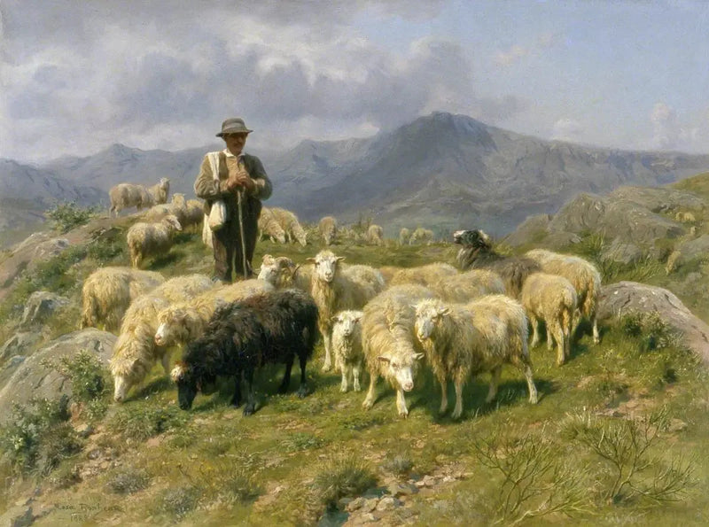 Pyrénées-alueen paimenkoira - Rosa Bonheur