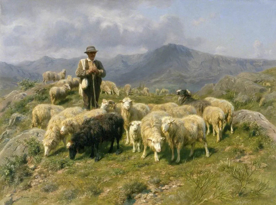 Pyrénées-alueen paimenkoira - Rosa Bonheur