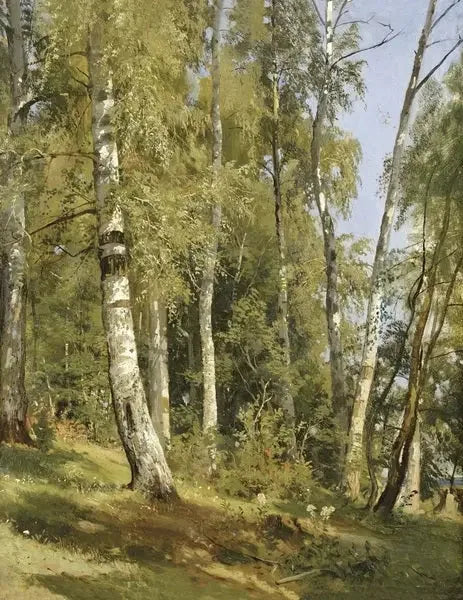Koivumetsä - Ivan Chichkine