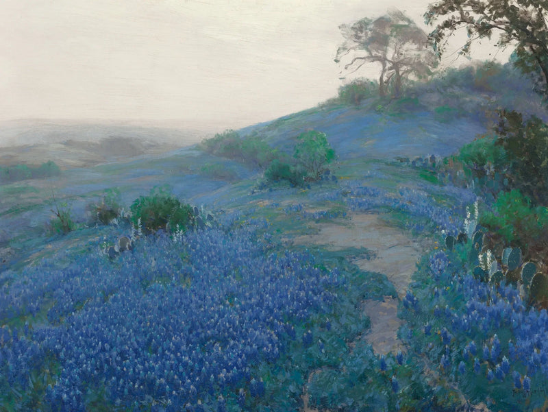 Blue Bonnet Field, varhainen aamu, San Antonio, Texas - Julian Onderdonk