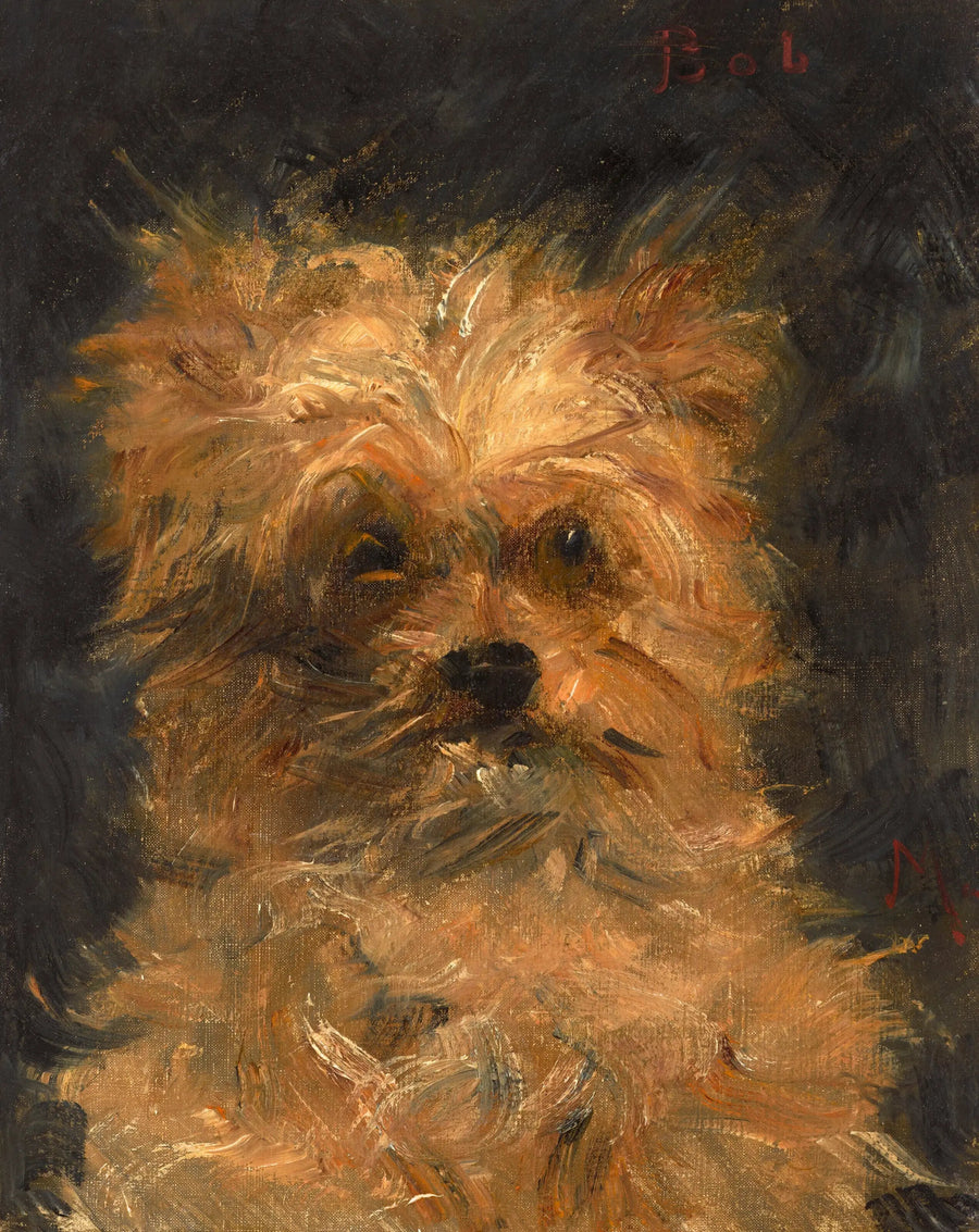 Bob, griffon-koira - Édouard Manet