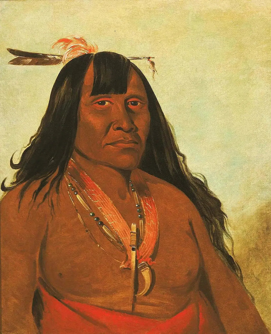Bón-són-gee, Uusi Tuli, bändin johtaja - George Catlin