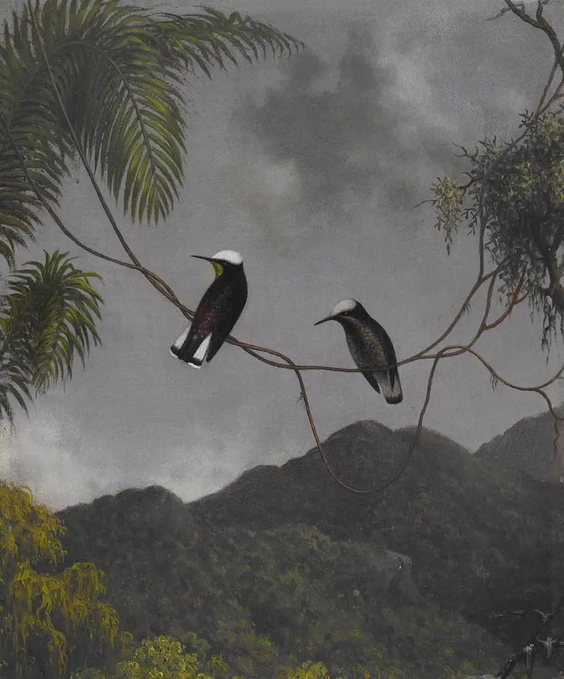 Lumipäähine - Martin Johnson Heade