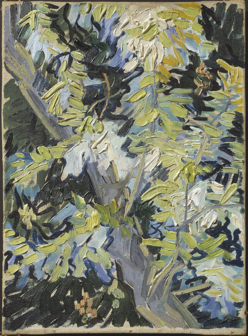 Akasiapuun kukkivat oksat - Vincent van Gogh