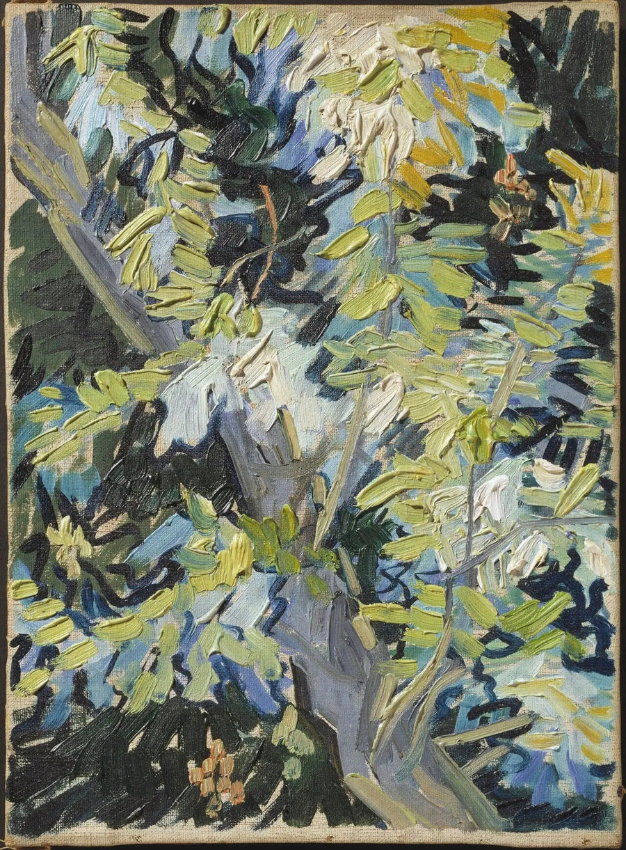 Akasiapuun kukkivat oksat - Vincent van Gogh