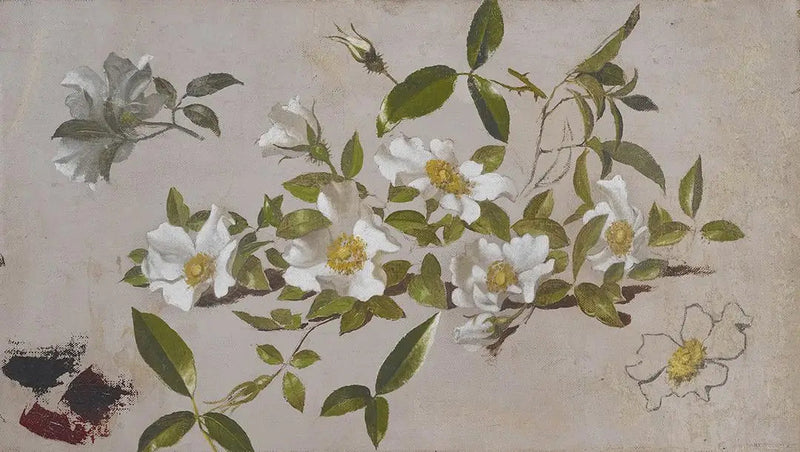 Cherokee ruusupäät - Martin Johnson Heade