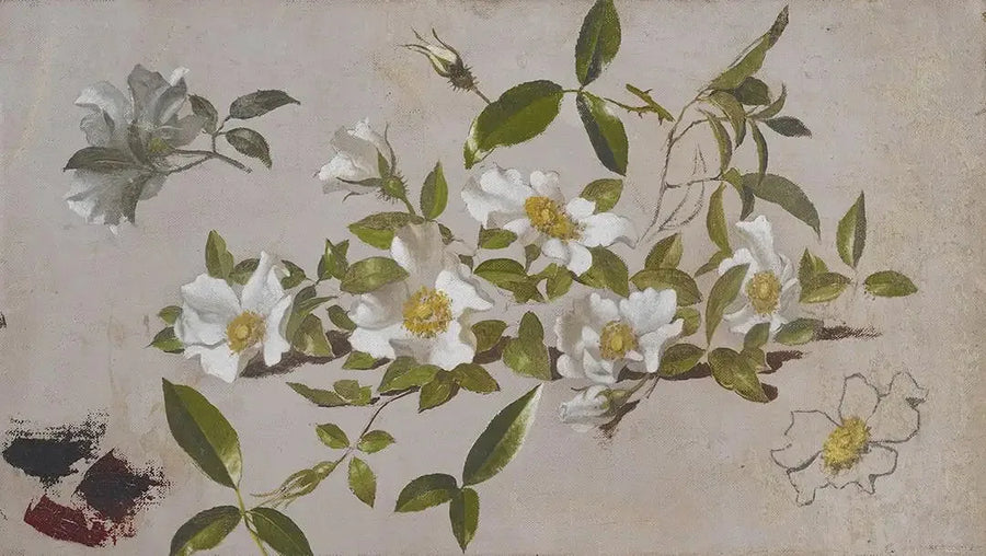 Cherokee ruusupäät - Martin Johnson Heade