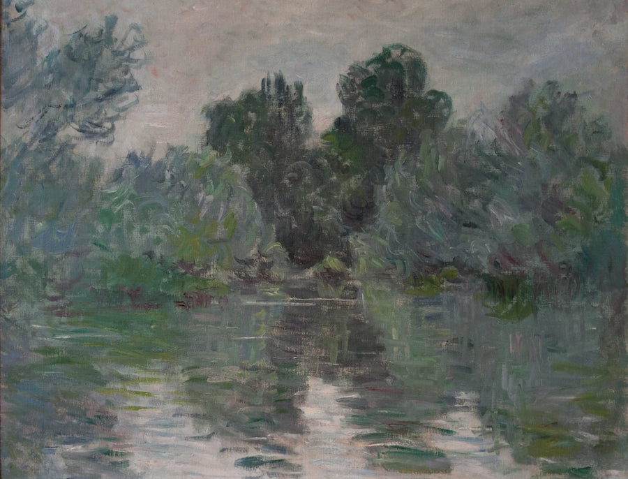 Seinen haara Vétheuilin lähellä - Claude Monet