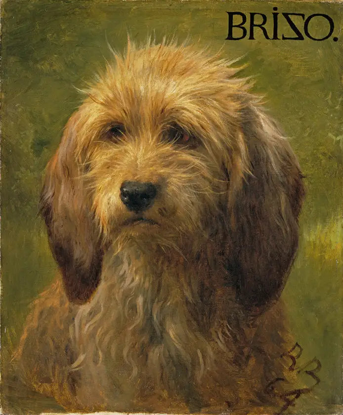 Brizo koira - Rosa Bonheur