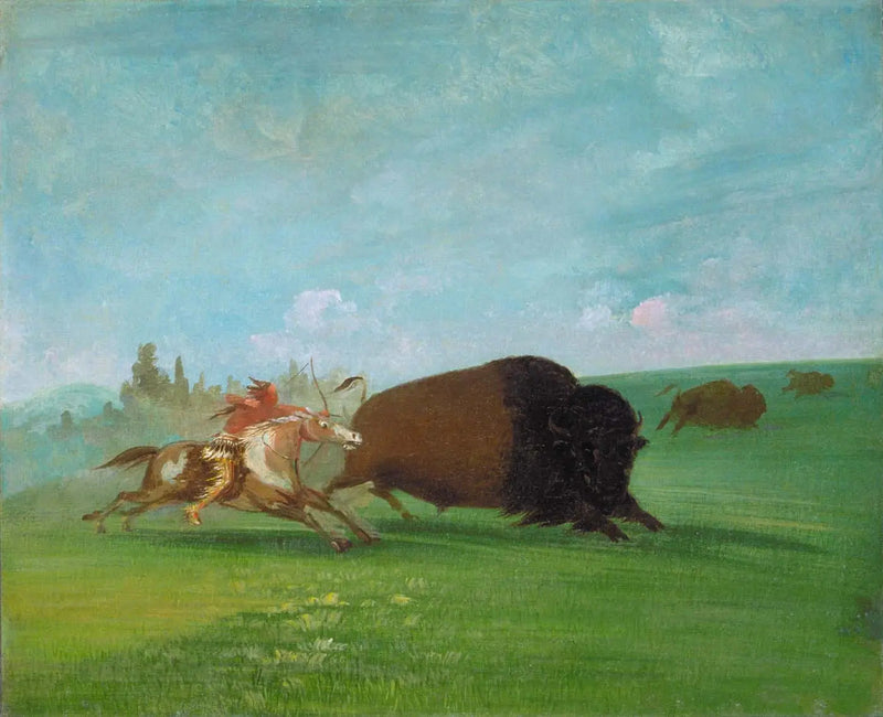 Buffalon jahti, vain yksi kuolema - George Catlin