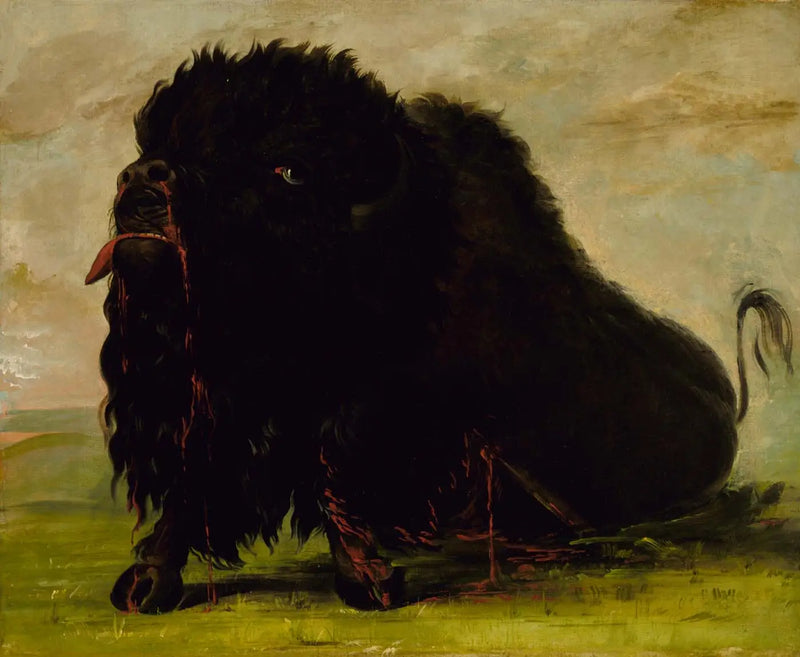 Kuoleva buffaali, nuoli osuu siihen - George Catlin