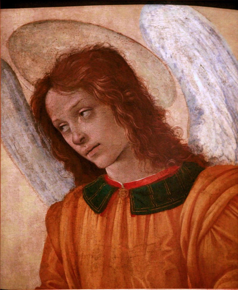 Enkelin rintakuva - Filippino Lippi