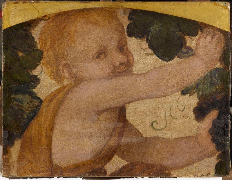 Puttokroppainen pieni poika viiniköynnöksissä - Bernardino Luini