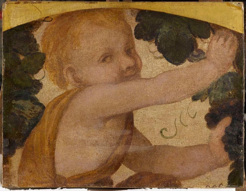 Puttokroppainen pieni poika viiniköynnöksissä - Bernardino Luini