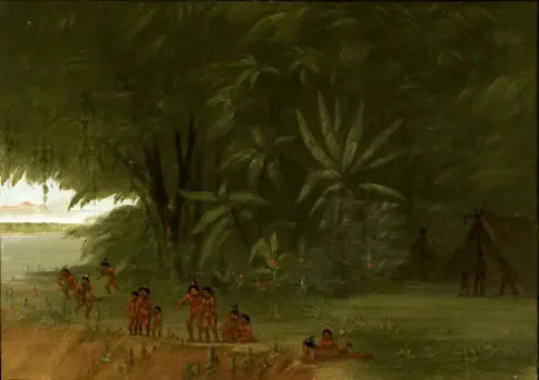 Mauhees-leiri - George Catlin