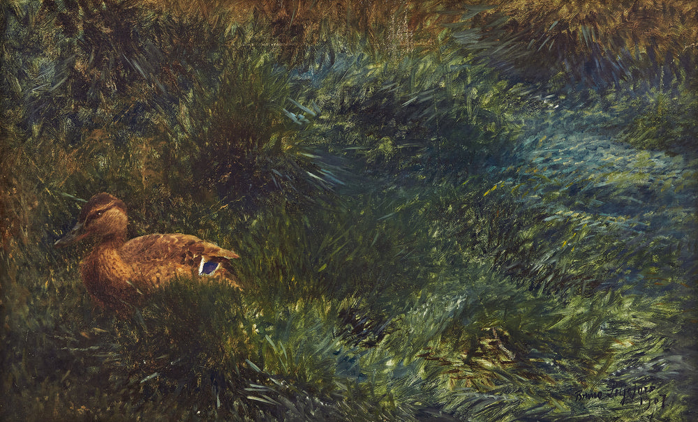 villisorsa - Bruno Liljefors