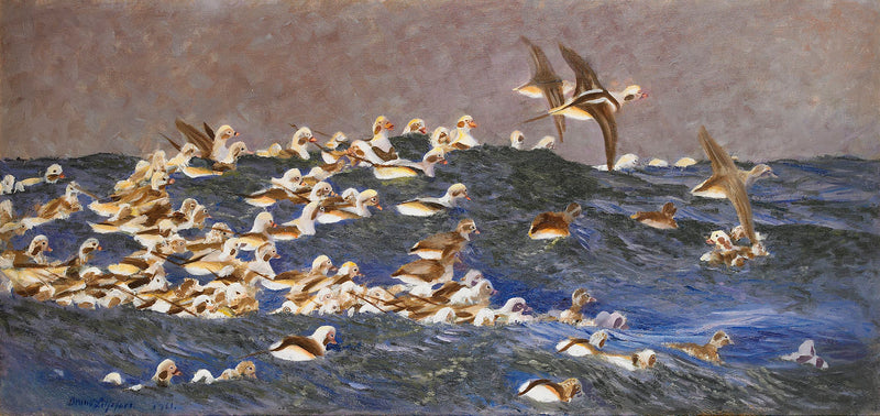 Pyrstöankat ulkosaaristossa - Bruno Liljefors