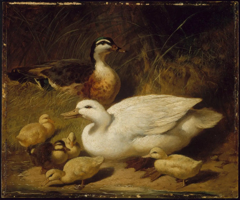 Ankat ja ankka-vasat - John Frederick Herring, Sr.