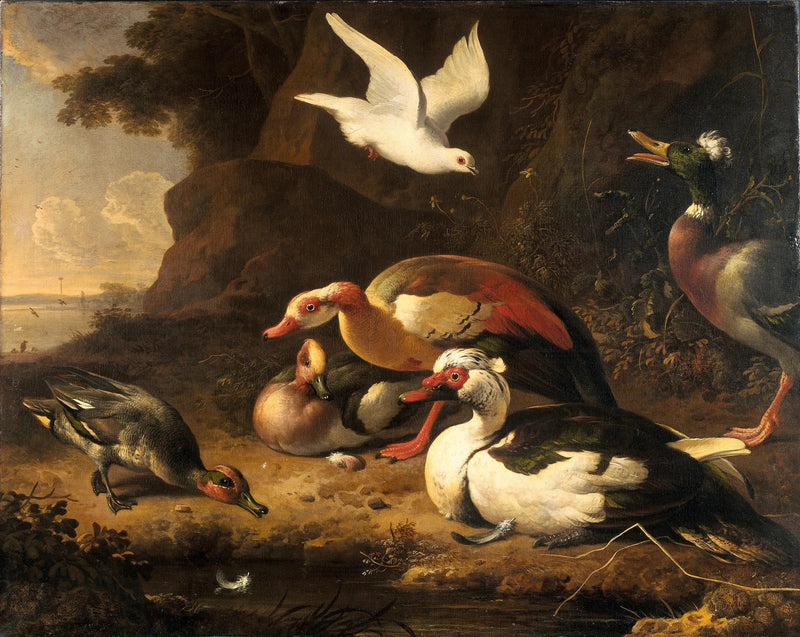 Ankat - Melchior de Hondecoeter