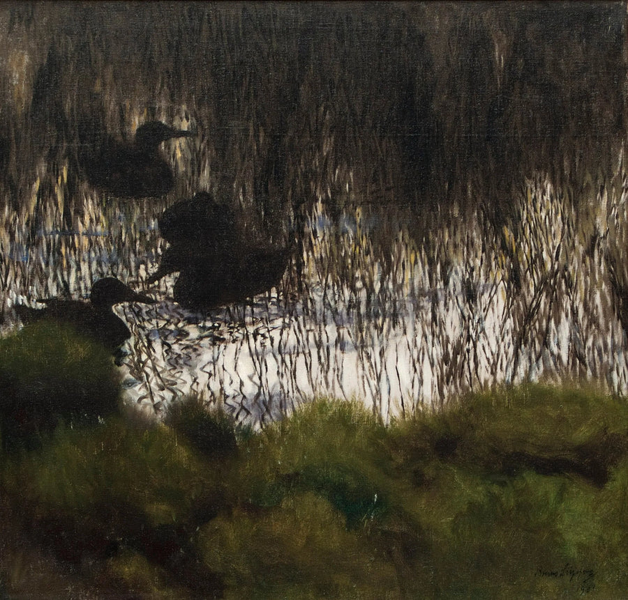 Villisorsia ruovikossa - Bruno Liljefors