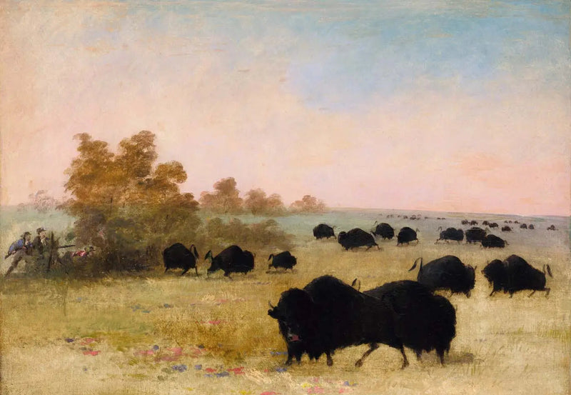 Catlin ja Party Stalking Buffalo, Haut-Missouri - George Catlin