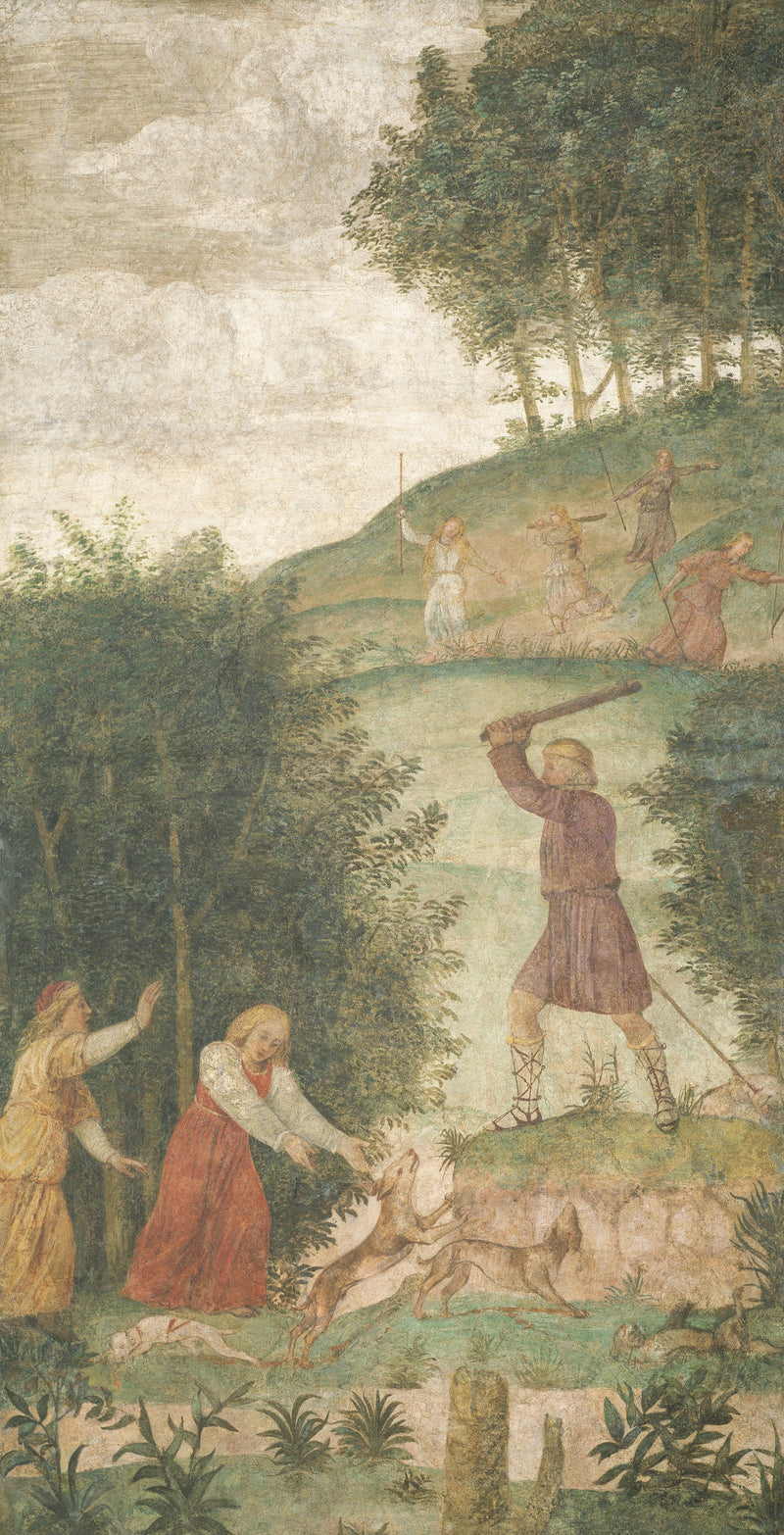 Rangaistu pää metsästyksessä - Bernardino Luini