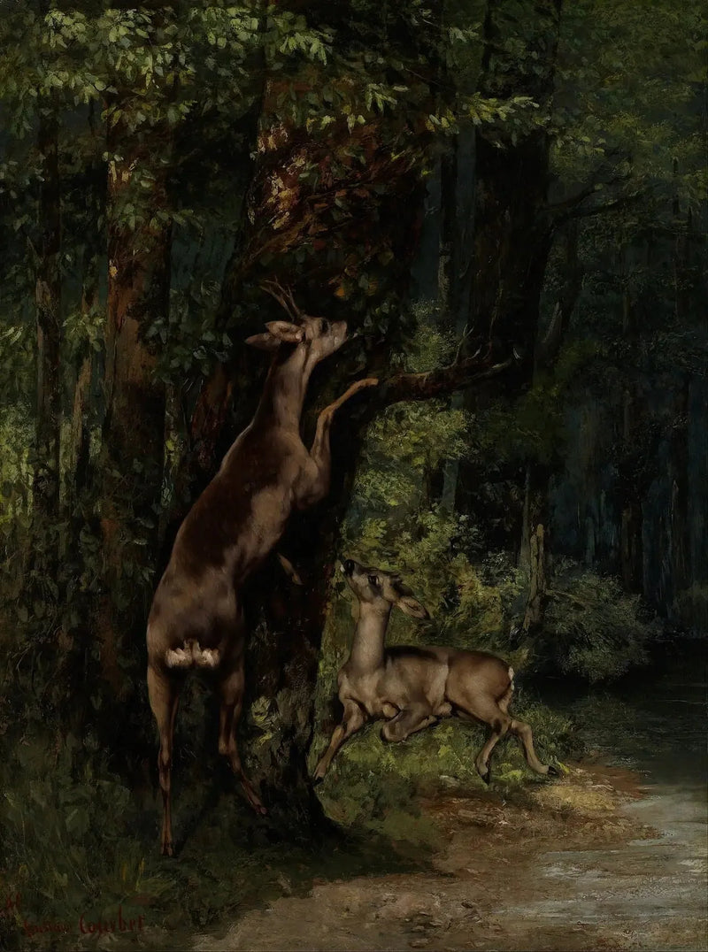 Sika metsässä - Gustave Courbet
