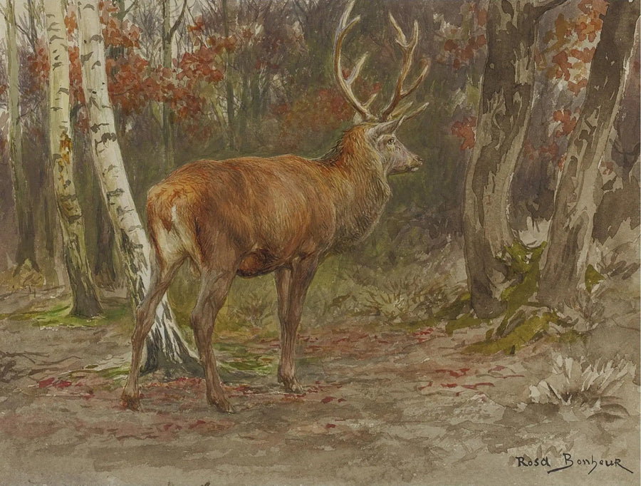Valpas hirviö - Rosa Bonheur