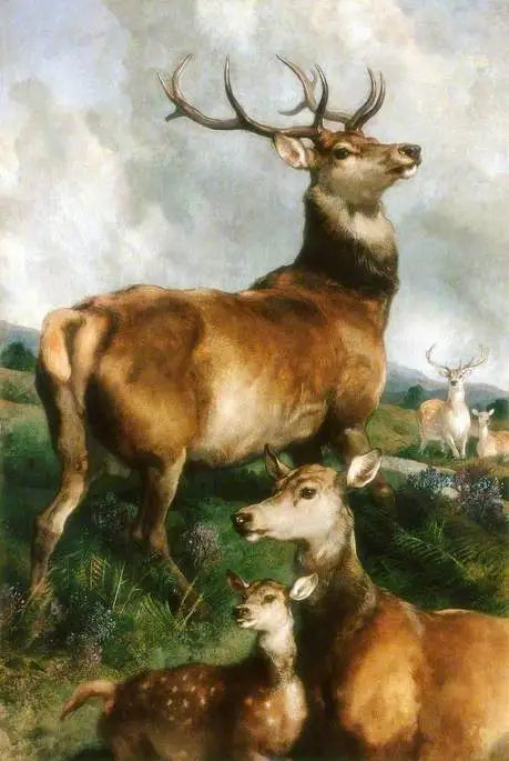 Chillinghamin puiston peurat, Northumberland - Edwin Henry Landseer