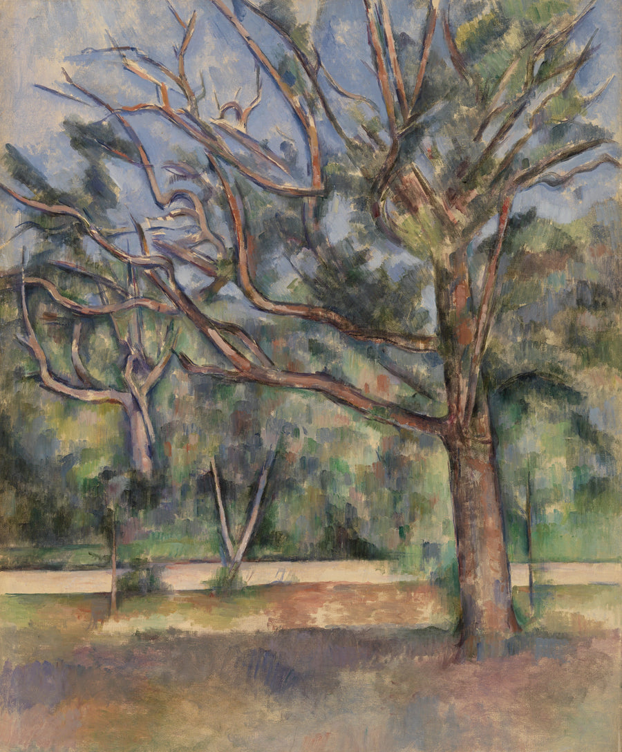 Puut ja tie - Paul Cézanne