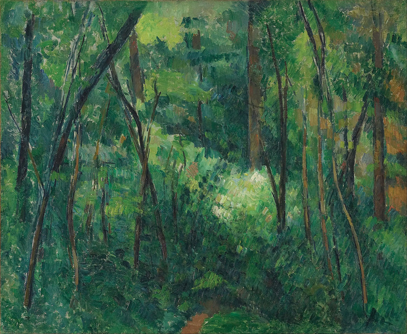 Aluskasvillisuus - Paul Cézanne
