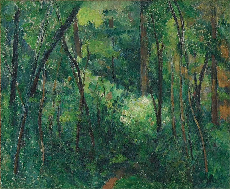 Aluskasvillisuus - Paul Cézanne