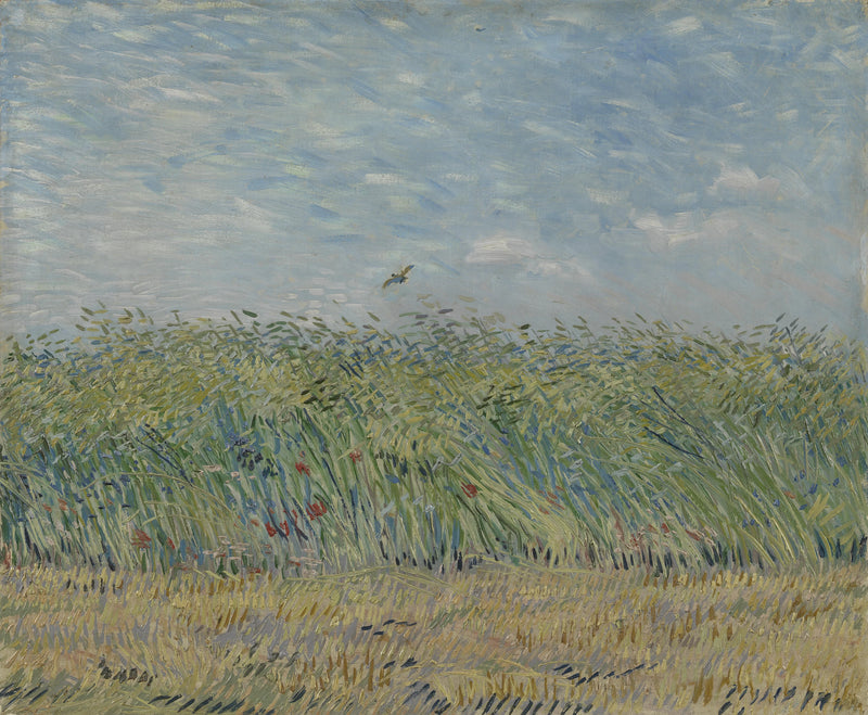 Viljakenttä larkille - Vincent van Gogh