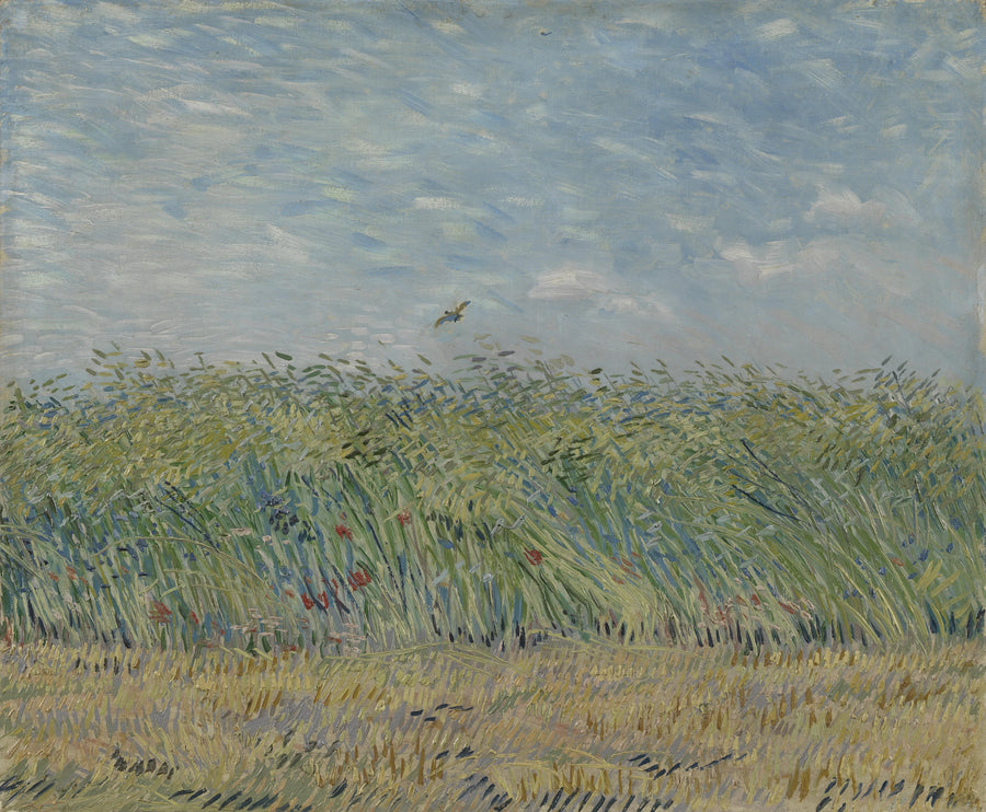 Viljakenttä larkille - Vincent van Gogh