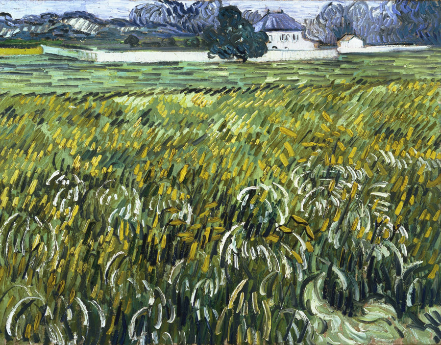 Vehnäpelto Auversissa talon kanssa - Vincent van Gogh