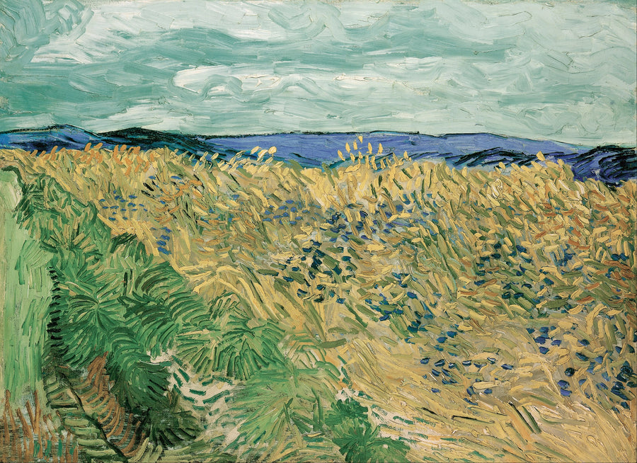 Vehnäpelto sinivuokkojen kanssa - Vincent van Gogh