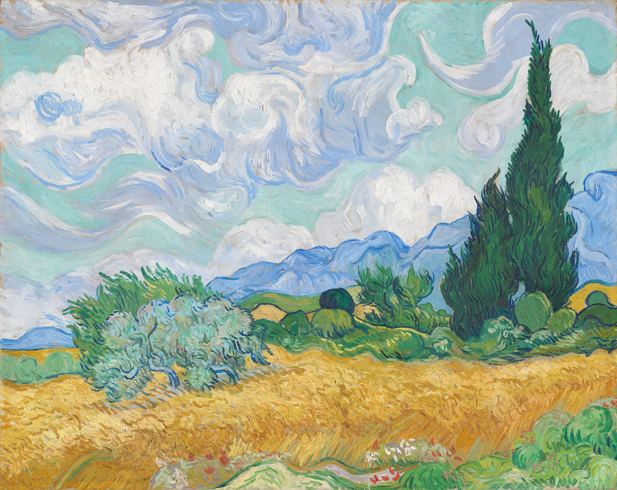 Vehnäpelto sypressien kanssa - Vincent van Gogh