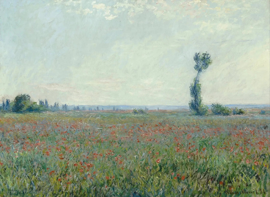 Unikkokenttä W677 - Claude Monet