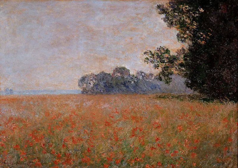 Kaura-alue kuorineen - Claude Monet
