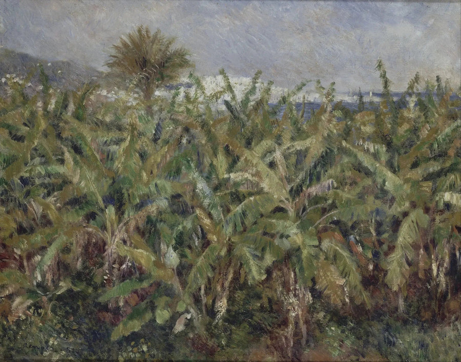 banaanipelto - Pierre-Auguste Renoir