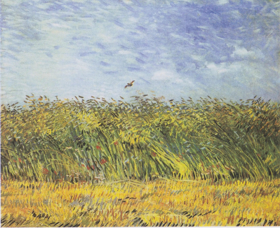Viljakenttä larkille - Vincent van Gogh