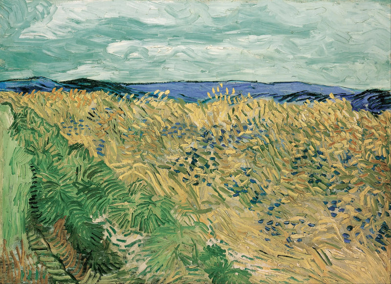 Vehnäpelto sinivuokkojen kanssa - Vincent van Gogh