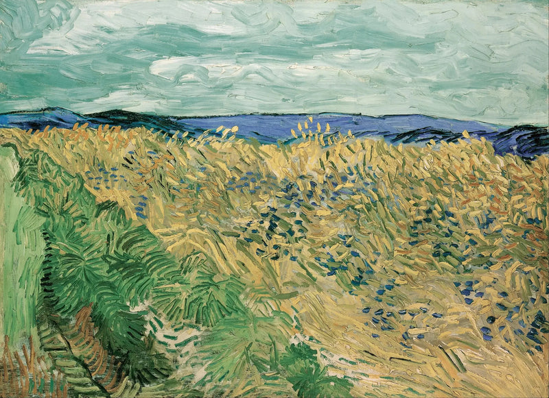 Vehnäpelto sinivuokkojen kanssa - Vincent van Gogh